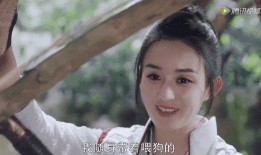 谢允最新爆料视频大全下载,揭秘幕后真相，精彩瞬间回顾